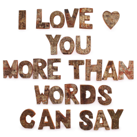 28x Nat Rustic Bark Letters - I love you more than words can say.. (28)