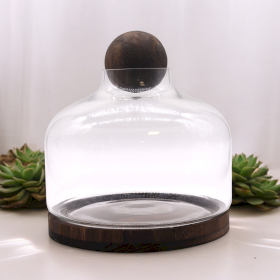 Ex-Large Ball Top Terrarium on Dark Tung Wood - 23x23cm