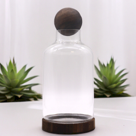 Large Ball Top Terrarium on Dark Tung Wood - 16x32cm