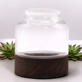 Small Shaped Terrarium on Dark Tung Wood - 12x13cm
