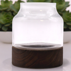 Medium Shaped Terrarium on Dark Tung Wood - 16x18cm
