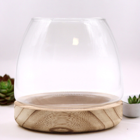 Medium Terrarium on Natural Tung Wood - 15x15cm