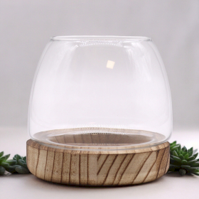 Small Terrarium on Natural Tung Wood - 13x13cm