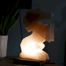 Animal Salt Lamp - Horse 4-5kg