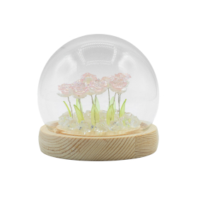 Floral Glow Garden Dome - 10 Pink Roses - LED USB