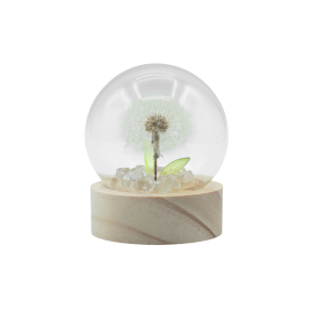 Floral Glow Garden Dome - 1 Dandilion- LED Battery