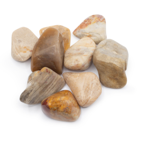 9x L Tumble Stones - Agatised Coral