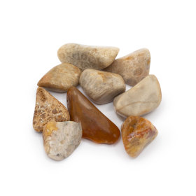 9x M Tumble Stones - Agatised Coral
