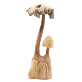 Handmade Parasite Wood Art Carving - Set of Two Mushoorms
