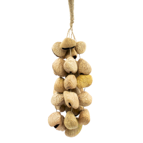 Med Pangi Seed Shell - Natural Nut Shaker (30 Shells)