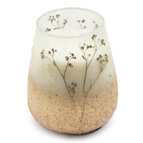 Wildlight Woods - Glass Jar Candles - Tall