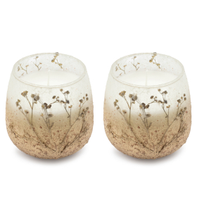 2x Wildlight Woods - Glass Jar Candles - Medium