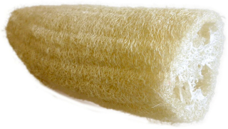 10x Assorted Short Loofas (12-30cm)