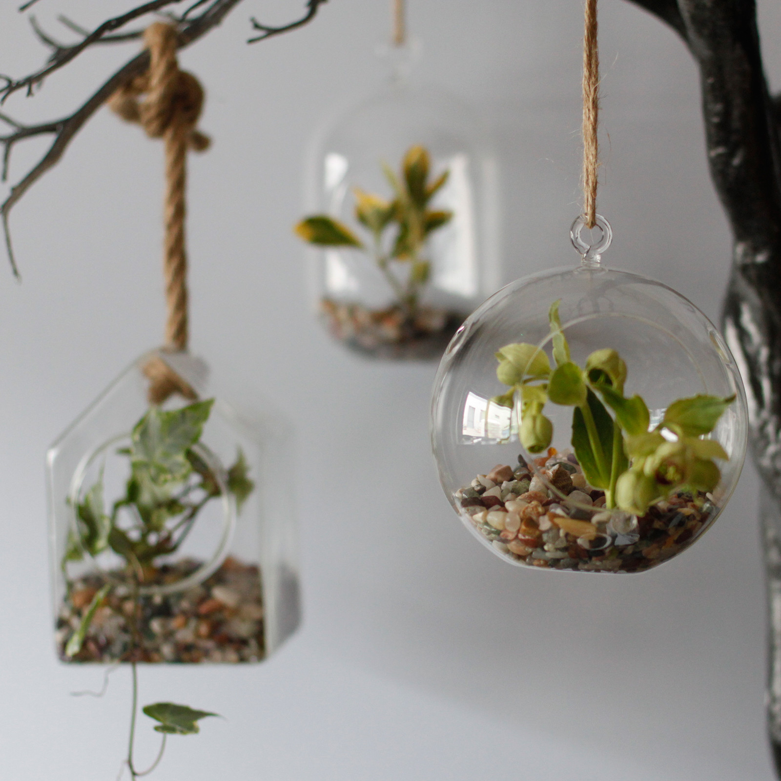Wholesale Glass Terrarium Bowls