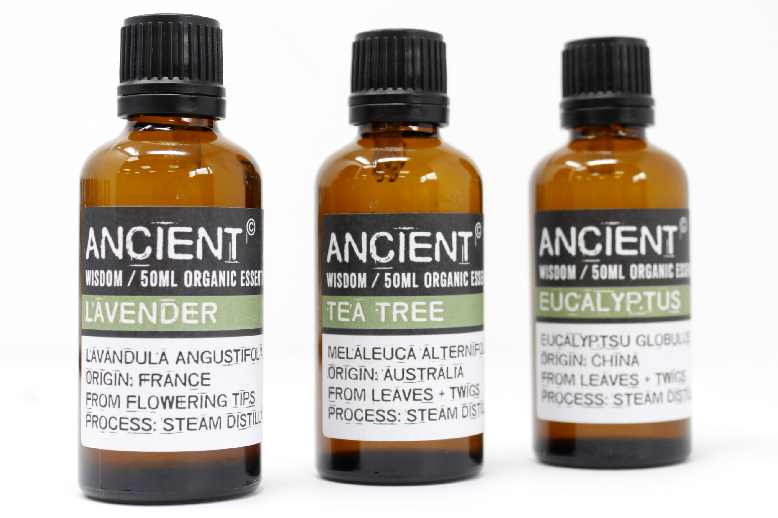 Wholesale Professional Organic Essential Oils 50ml Ancient Wisdom