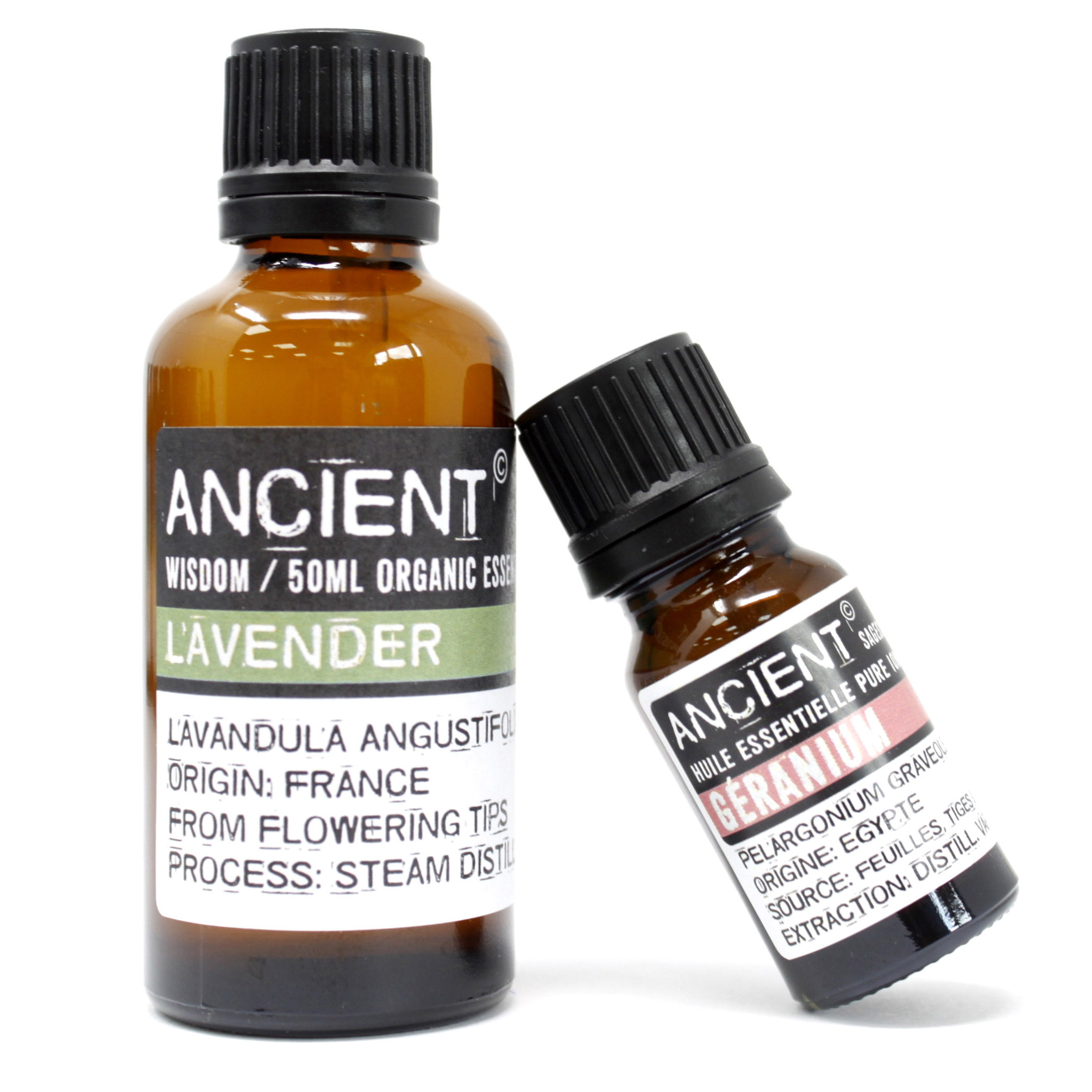 Wholesale Professional Organic Essential Oils 50ml Ancient Wisdom