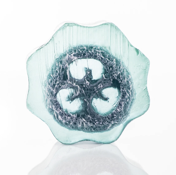 wholesale loofah soaps