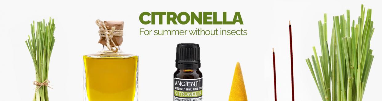 Ancient Wisdom Wholesale Citronella Products