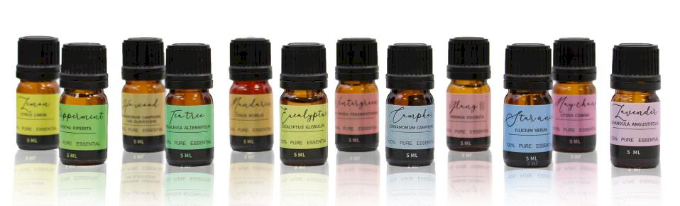 Ancient Wisdom Wholesale Aromatherapy Essential Oil Set - Starter Pack