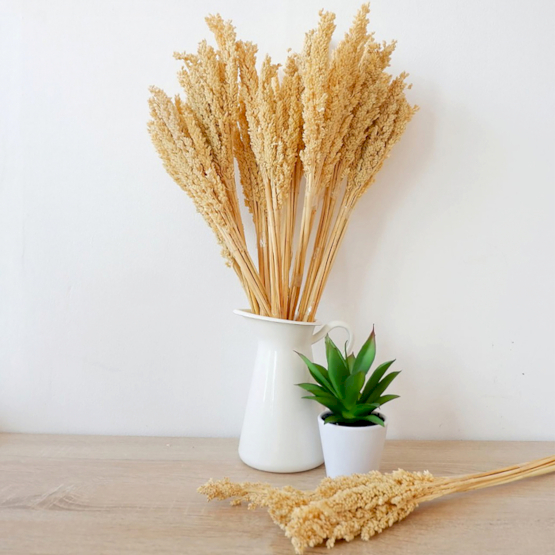 Wholesale Cantal Grass Bunches