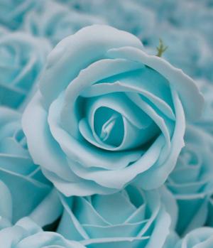Ancient Wisdom Wholesale Soap Flowers