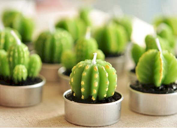 wholesale cactus candles
