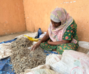 wholesale loose herbs and resin