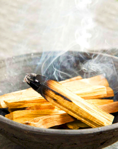 Wholesale Palo Santo