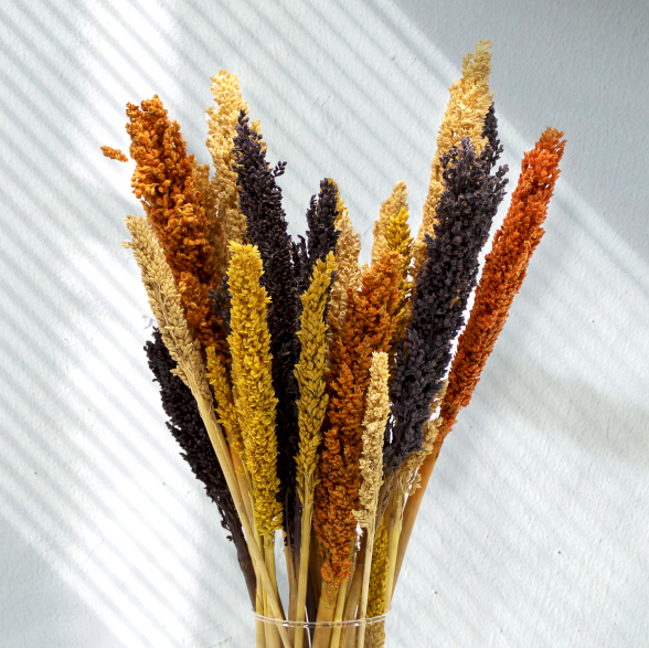 dried grass bunch