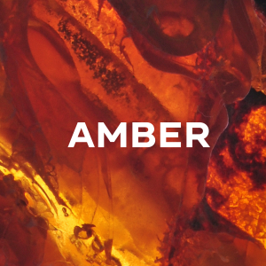 Aromatika Masala Backflow Incense - Amber