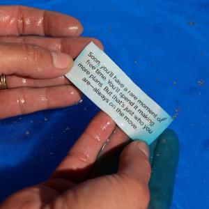 Wholesale Zodiac Bath Fizzers 