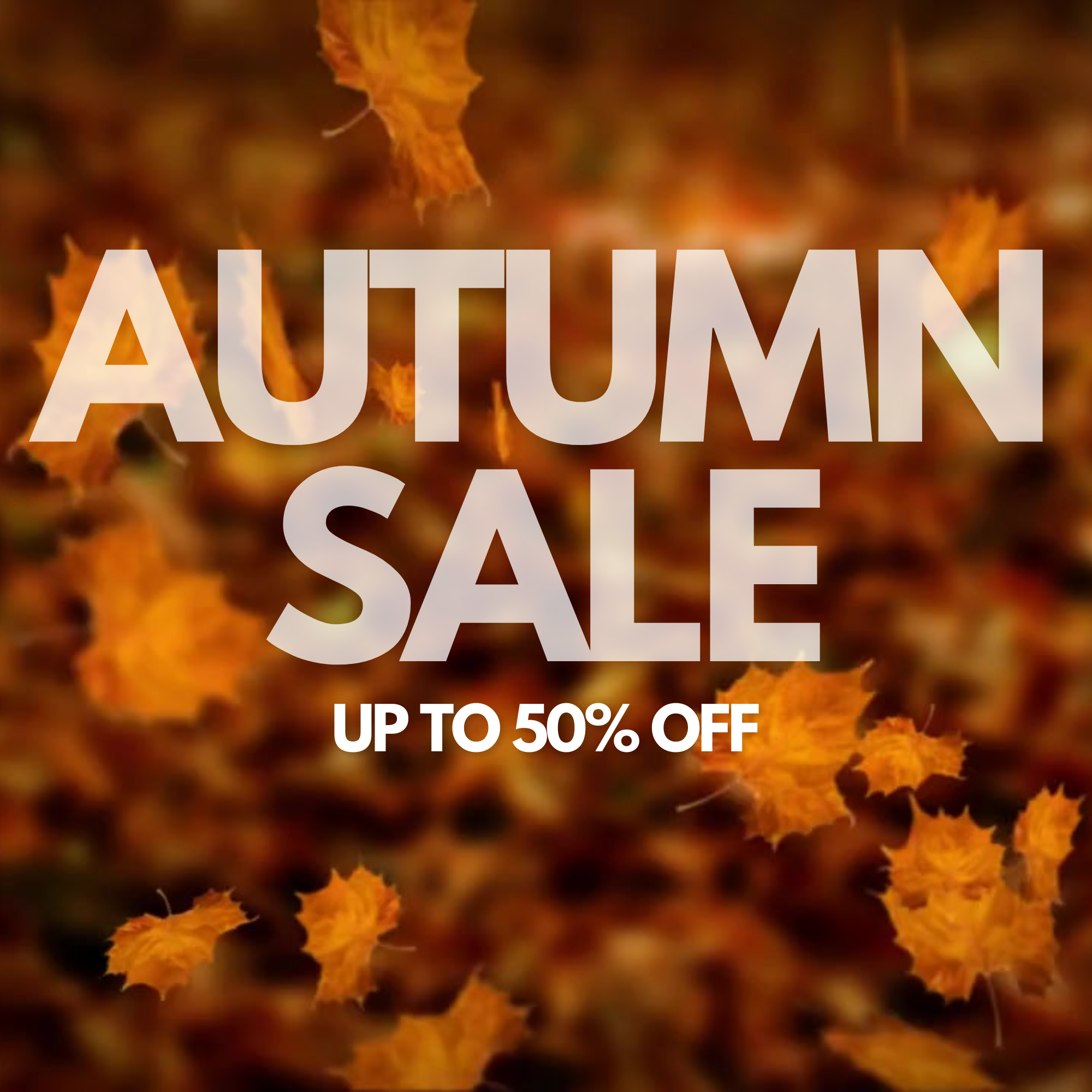 Autumn Sale - Up to 50% OFF