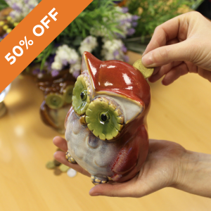 Ceramic Owl Money Boxes