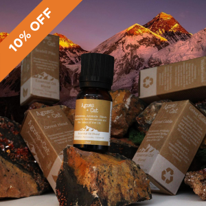 Agnes + Cat Essential Oil Blends