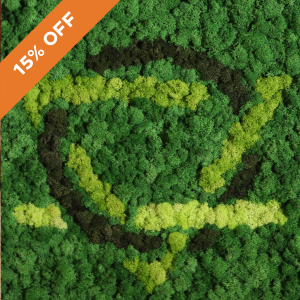 1st Grade Reindeer Moss