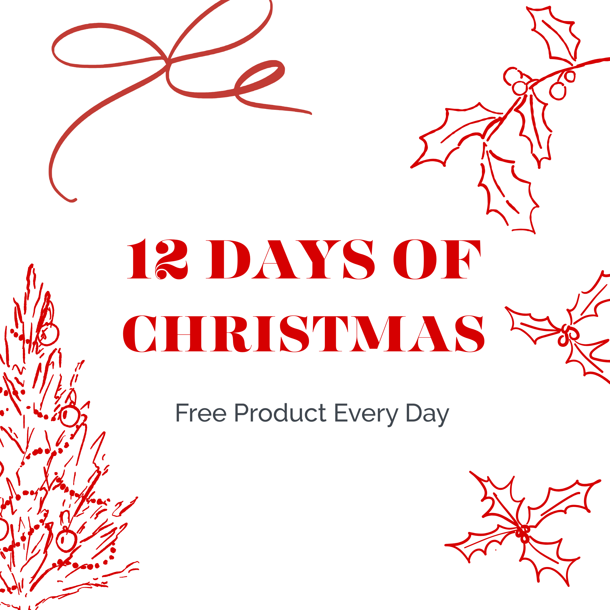 12 Days Of Christmas